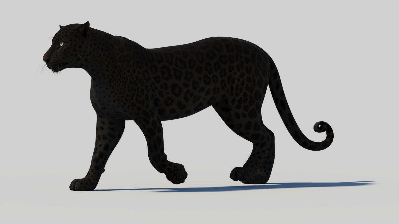 Animated Black Panther 3D Model 360° view 1 frame 3