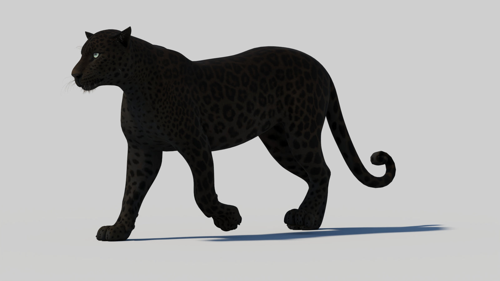 Animated Black Panther 3D Model 360° view 1 frame 4