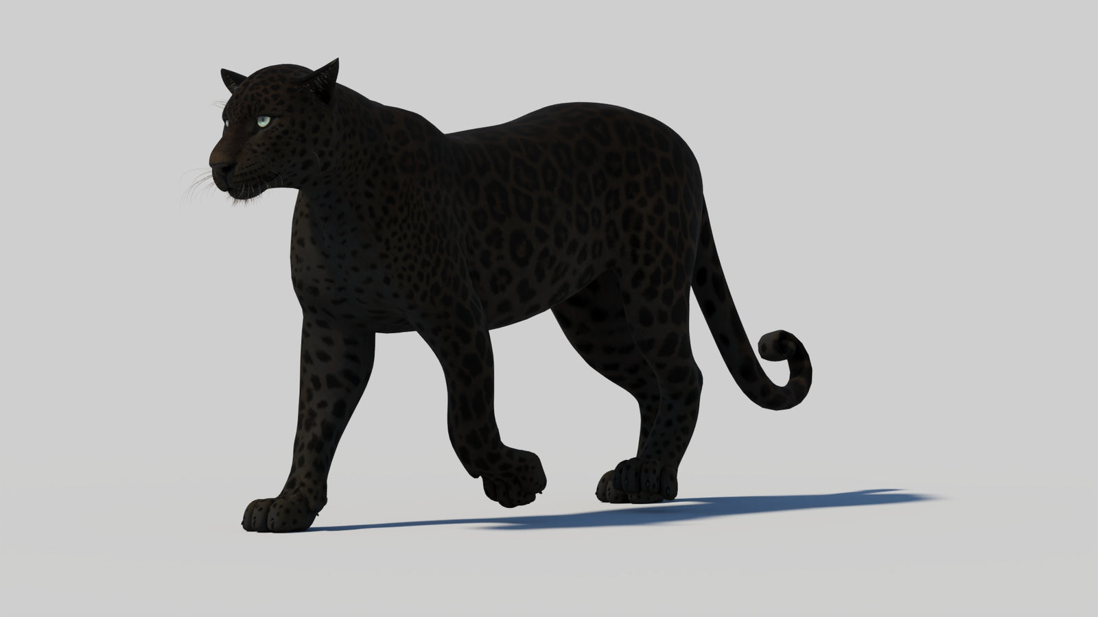 Animated Black Panther 3D Model 360° view 1 frame 5