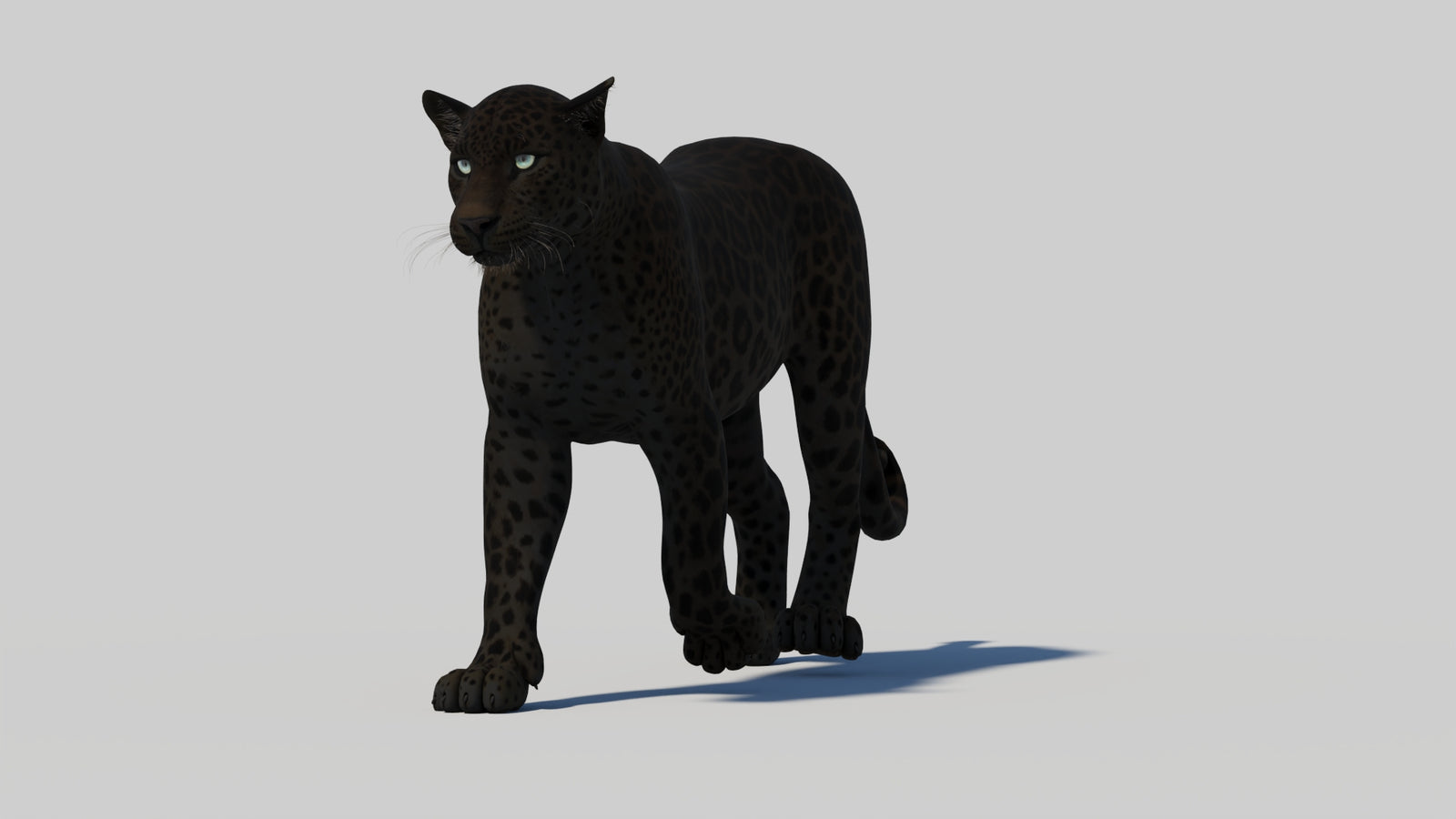 Animated Black Panther 3D Model 360° view 1 frame 7