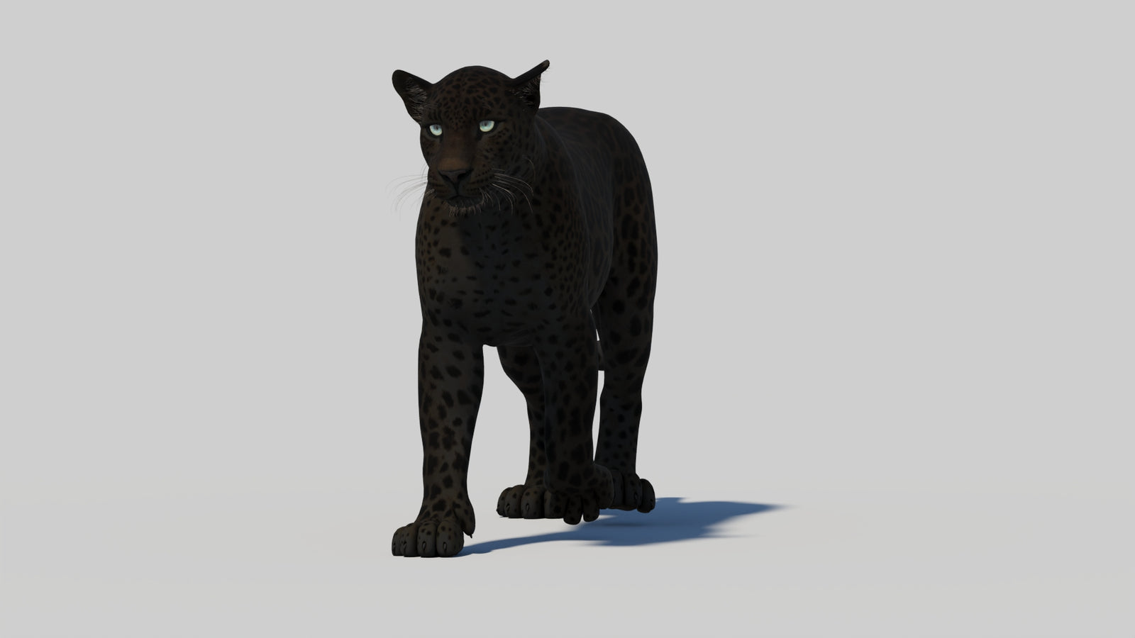 Animated Black Panther 3D Model 360° view 1 frame 8