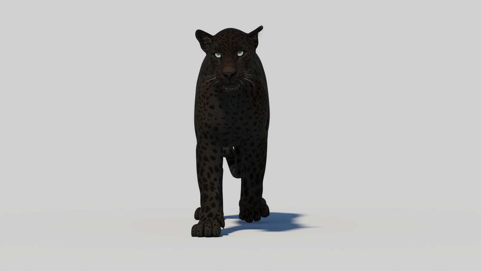 Animated Black Panther 3D Model 360° view 1 frame 9