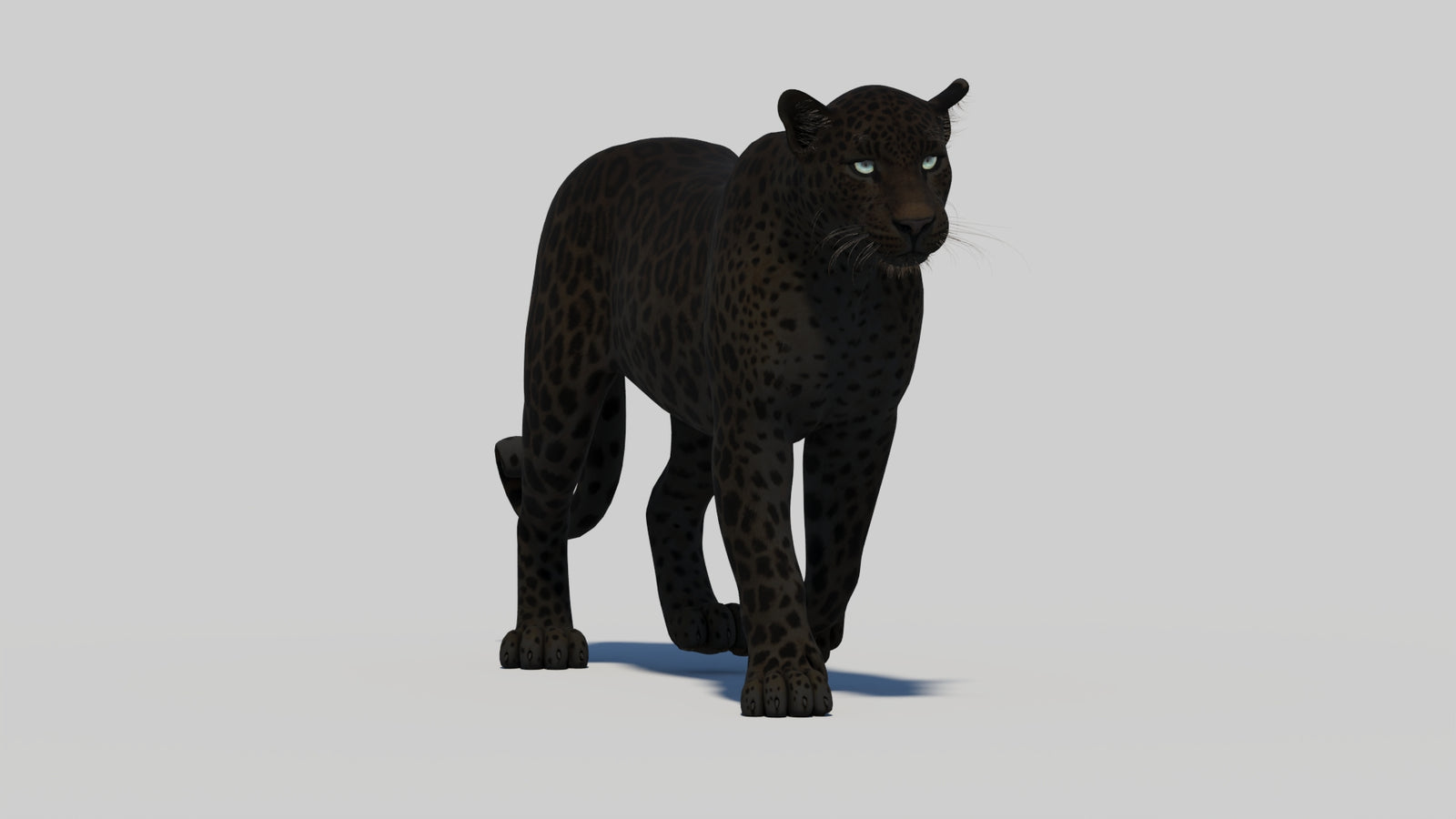 Animated Black Panther 3D Model 360° view 1 frame 11