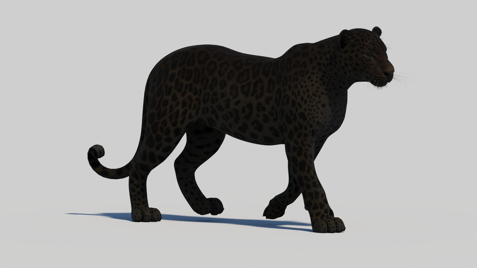 Animated Black Panther 3D Model 360° view 1 frame 14