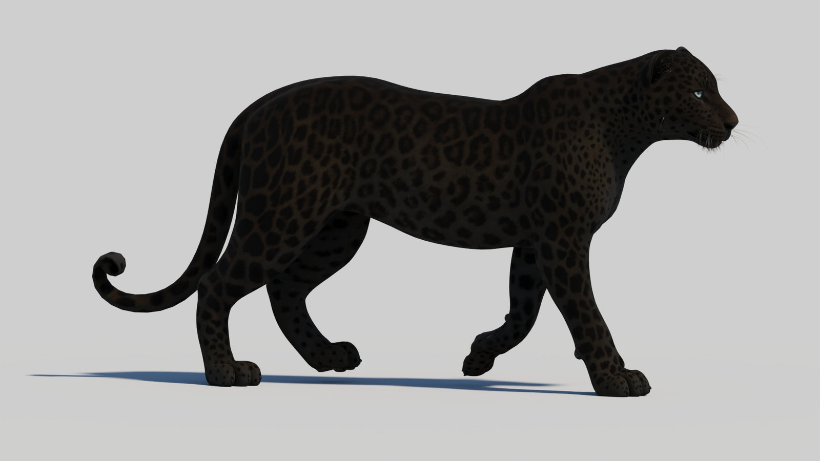 Animated Black Panther 3D Model 360° view 1 frame 16