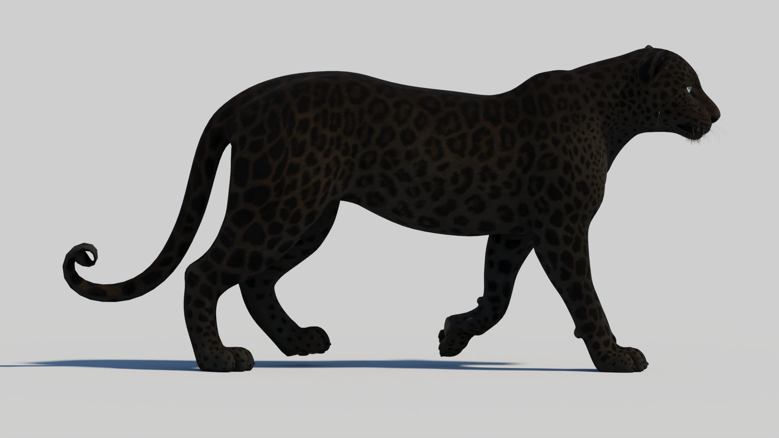 Animated Black Panther 3D Model 360° view 1 frame 18