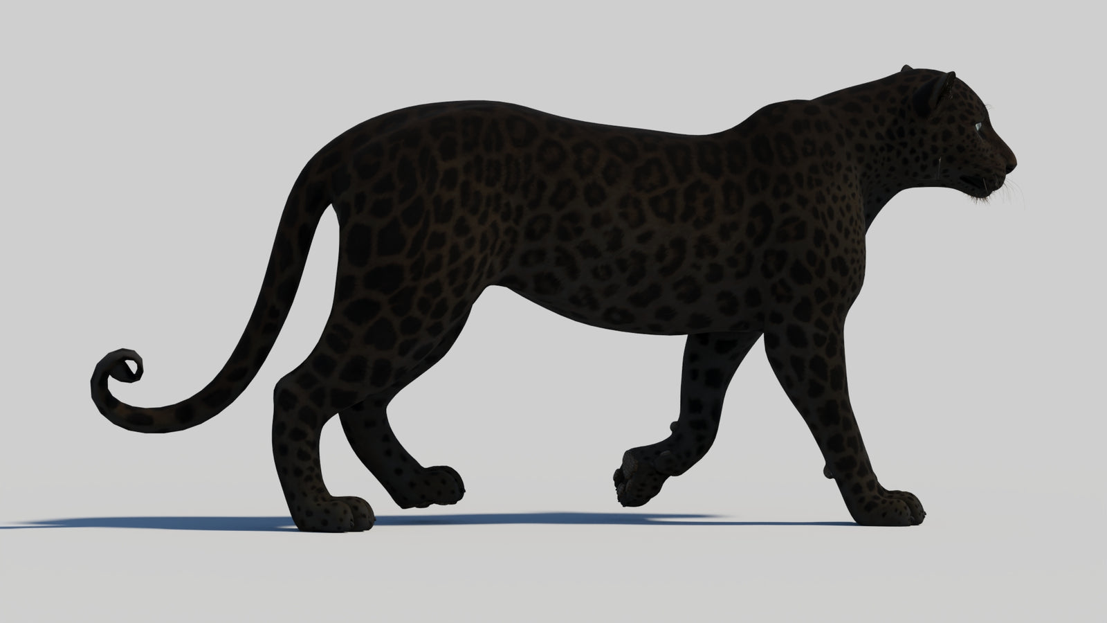 Animated Black Panther 3D Model 360° view 1 frame 19