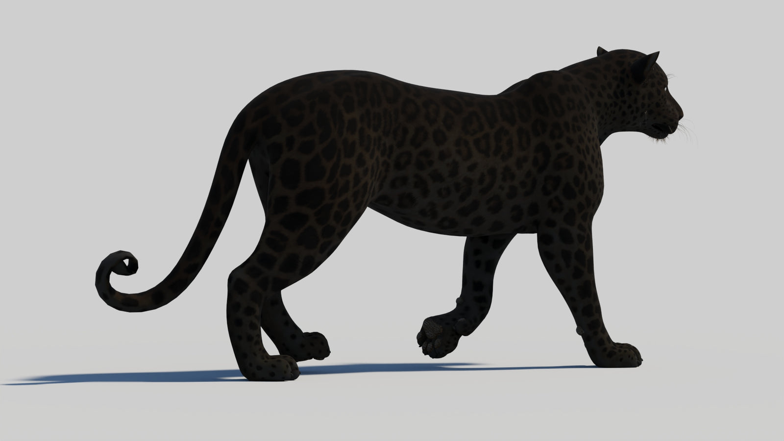 Animated Black Panther 3D Model 360° view 1 frame 21