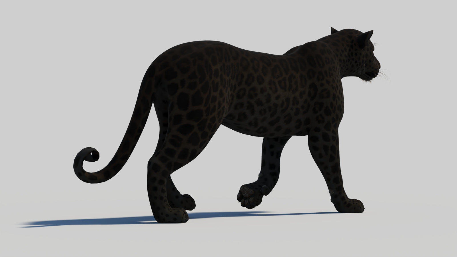 Animated Black Panther 3D Model 360° view 1 frame 22