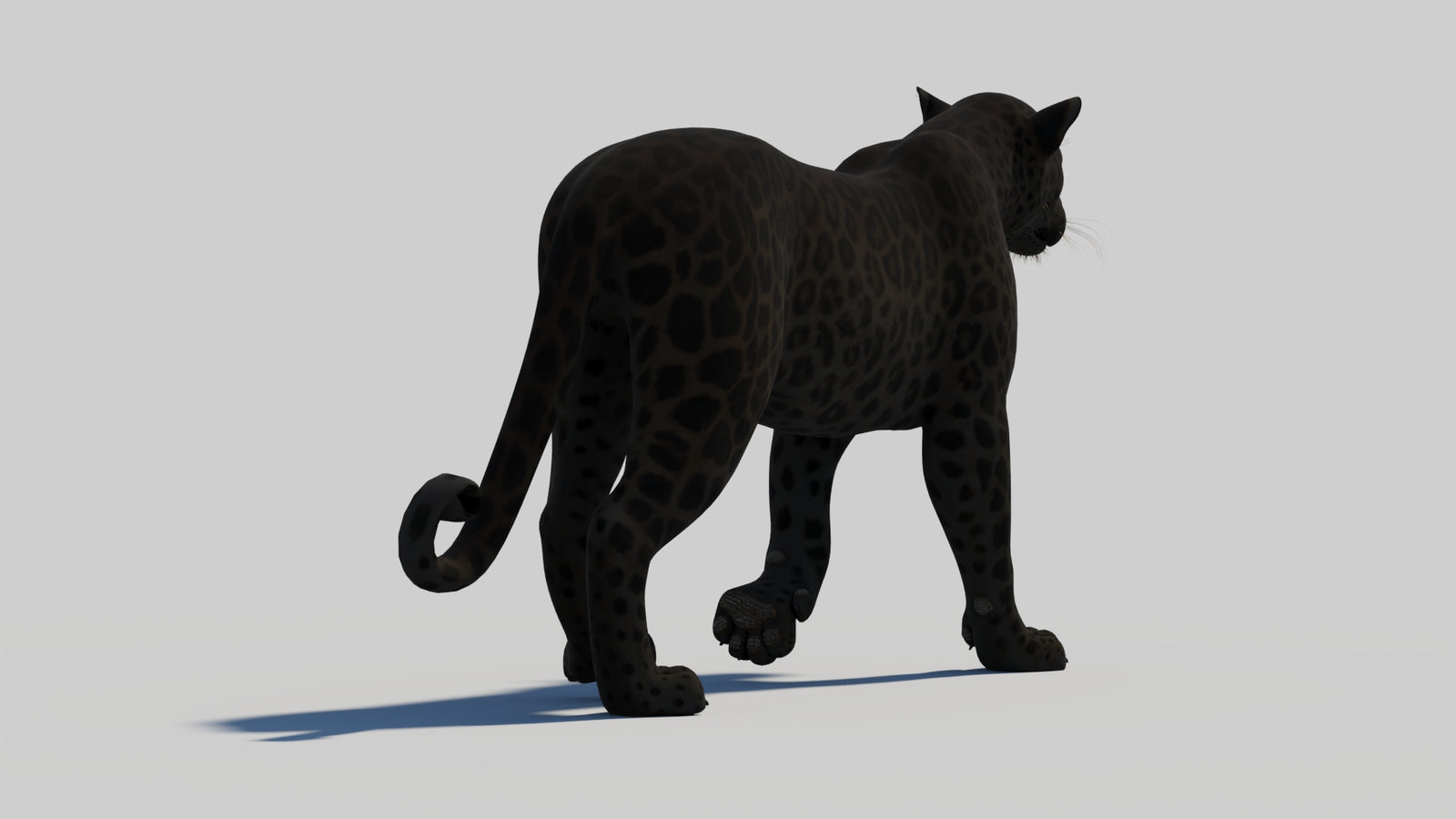 Animated Black Panther 3D Model 360° view 1 frame 24