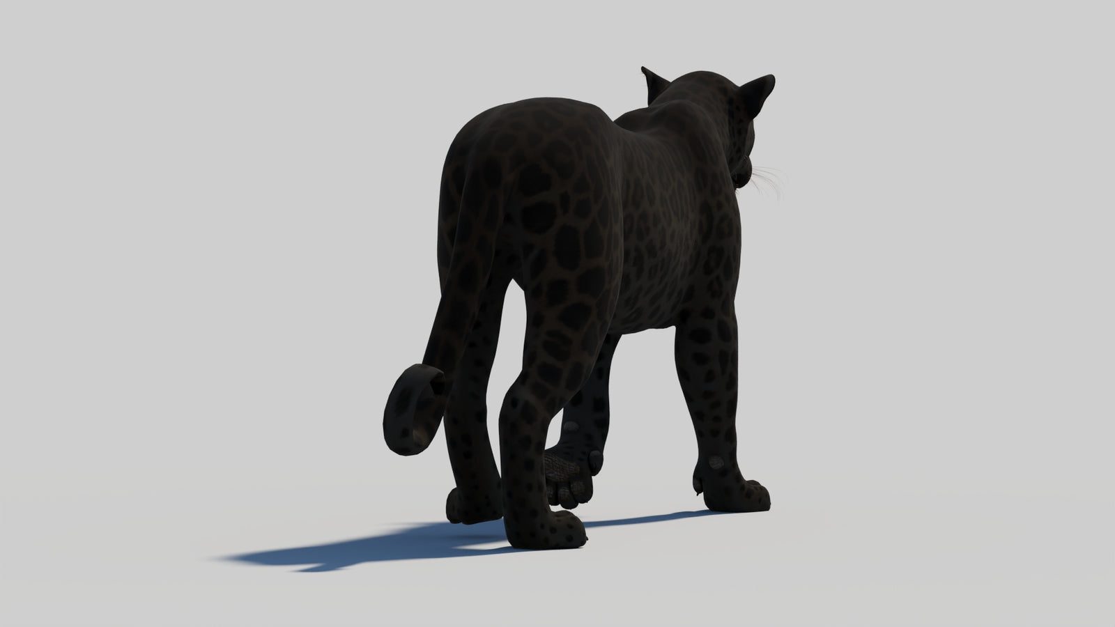 Animated Black Panther 3D Model 360° view 1 frame 25