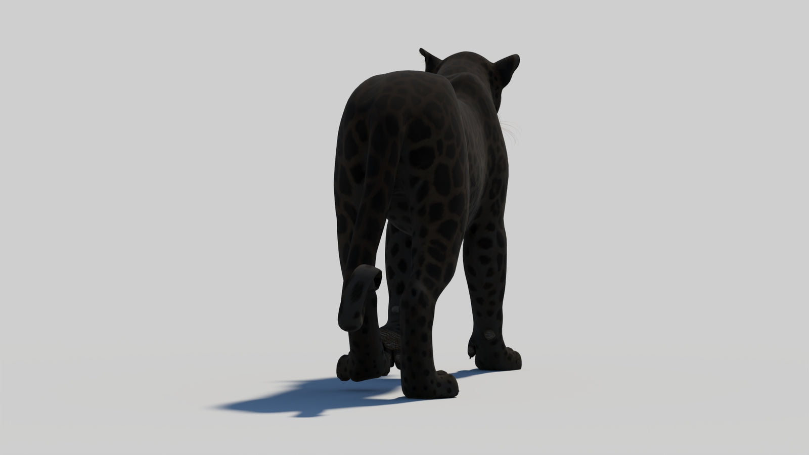 Animated Black Panther 3D Model 360° view 1 frame 26