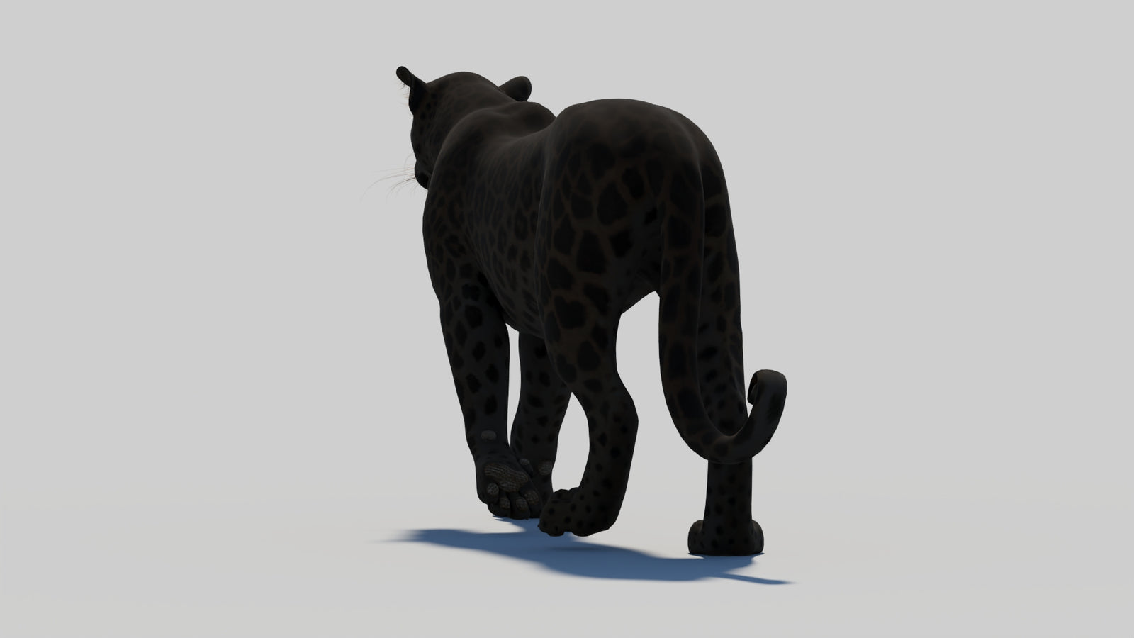 Animated Black Panther 3D Model 360° view 1 frame 29