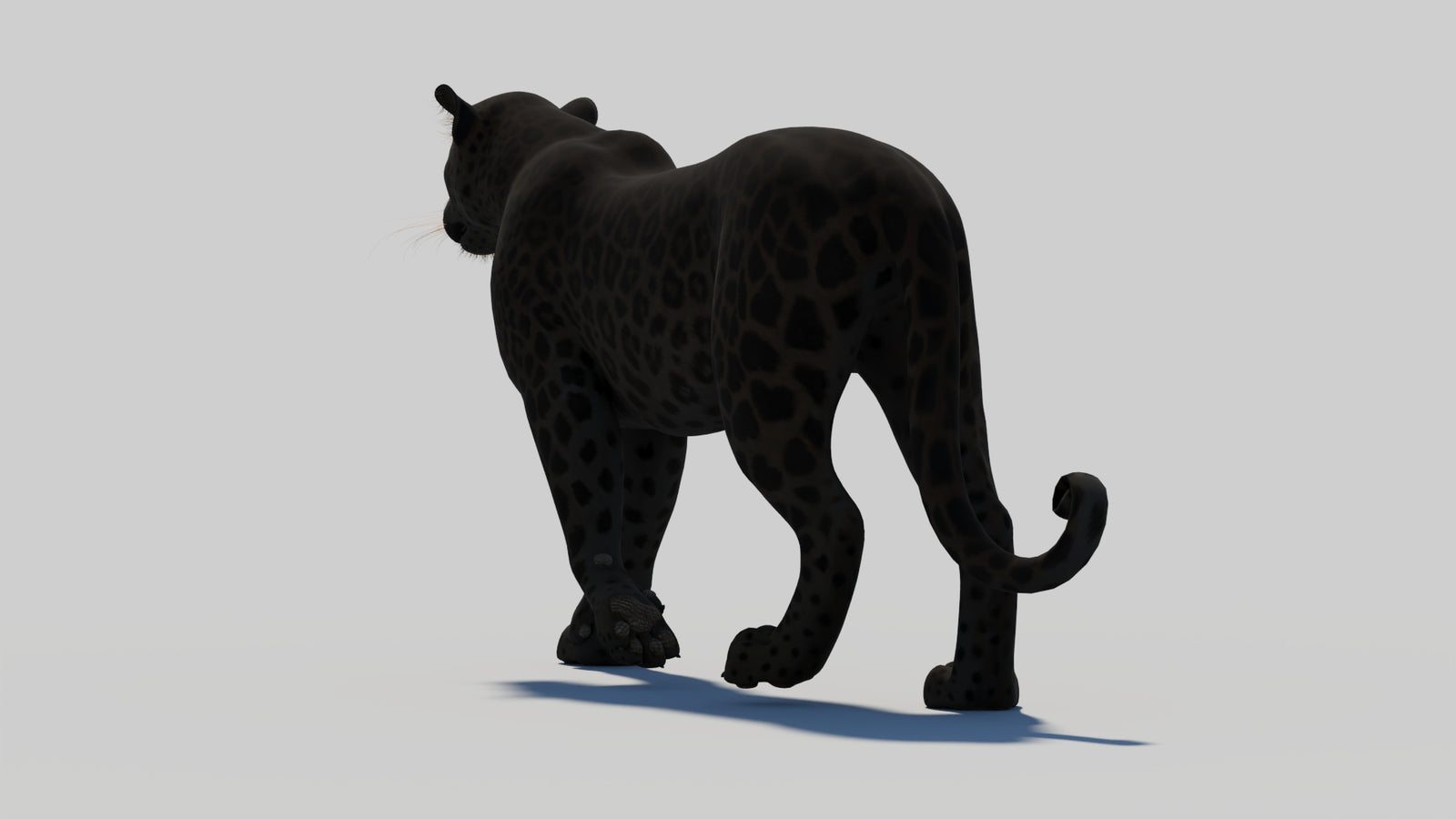 Animated Black Panther 3D Model 360° view 1 frame 30