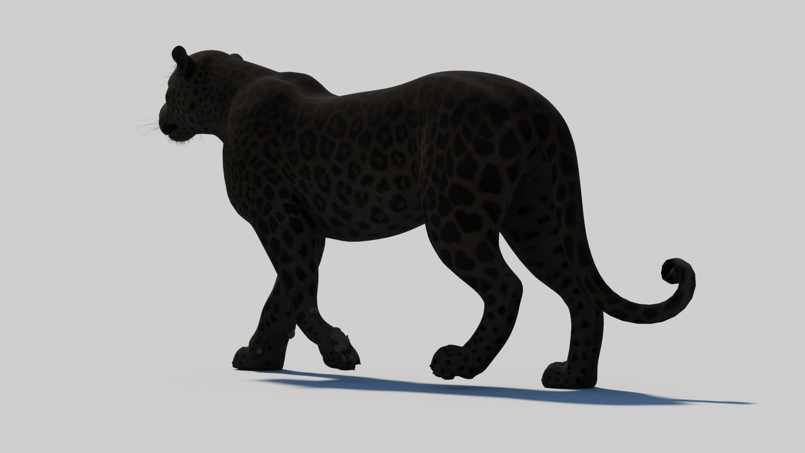 Animated Black Panther 3D Model 360° view 1 frame 32