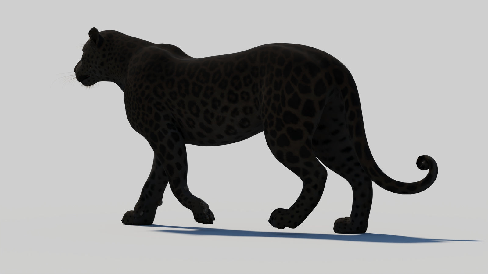Animated Black Panther 3D Model 360° view 1 frame 33