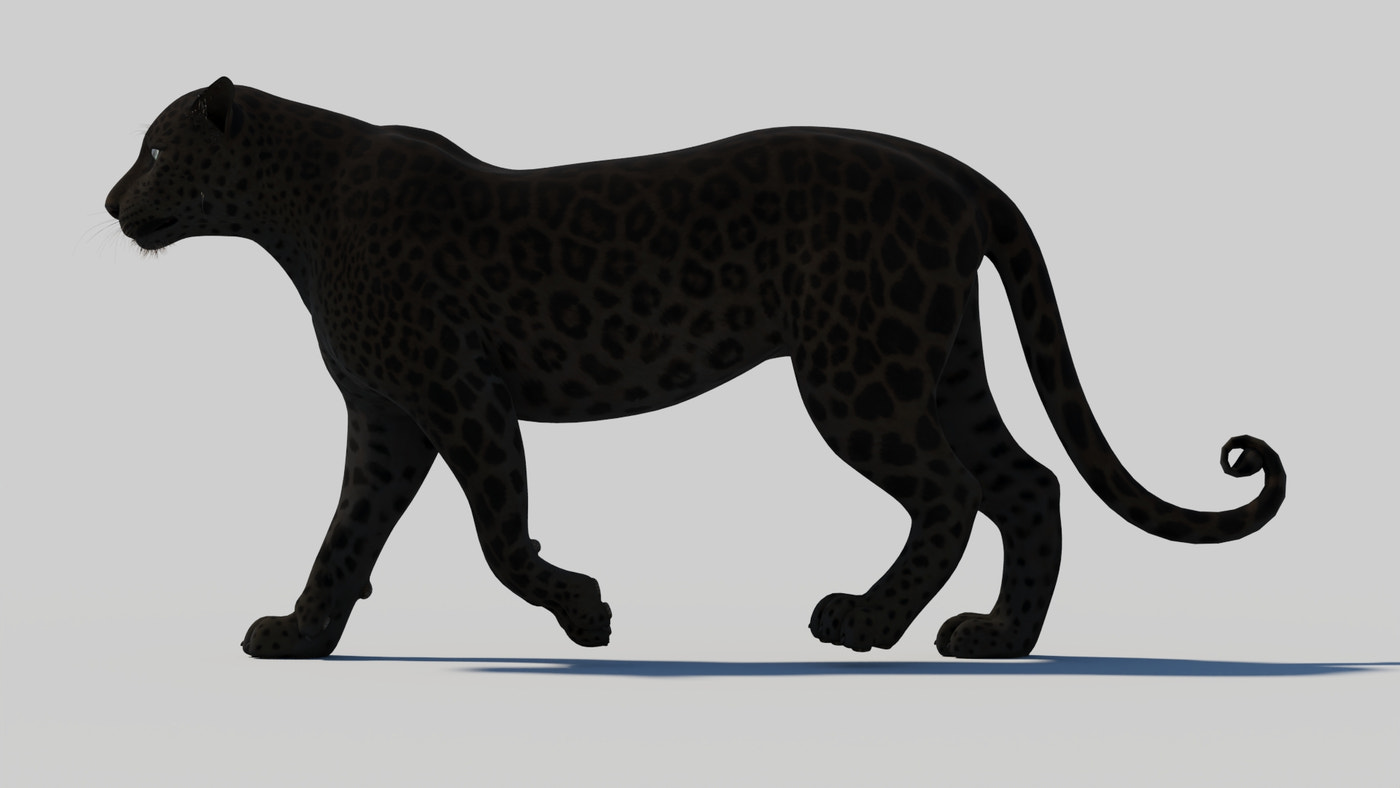 Animated Black Panther 3D Model - 360 Degree View