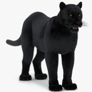 Black Panther 3D Model with Fur Thumbnail