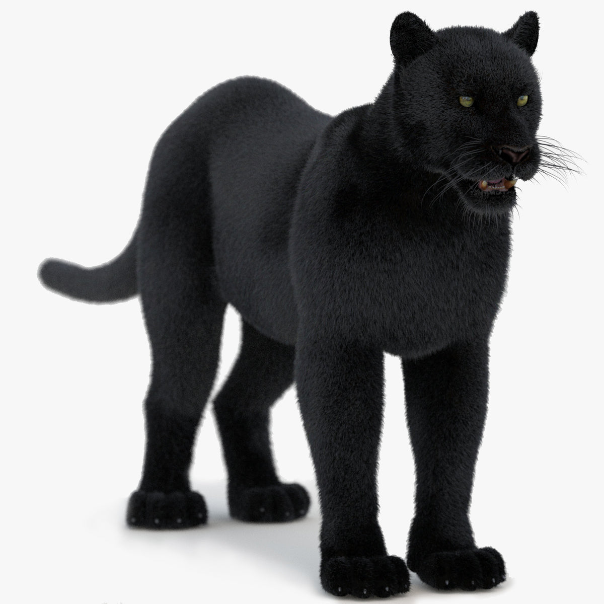 Black Panther 3D Model with Fur