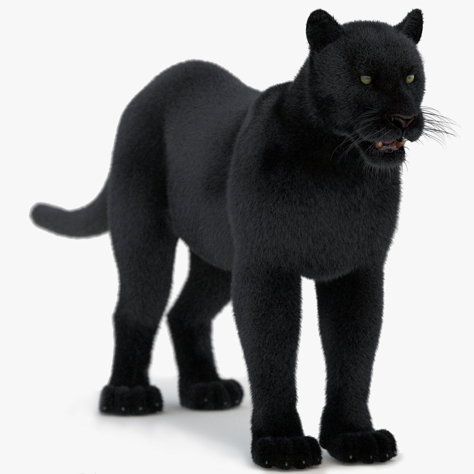 Black Panther 3D Model with Fur