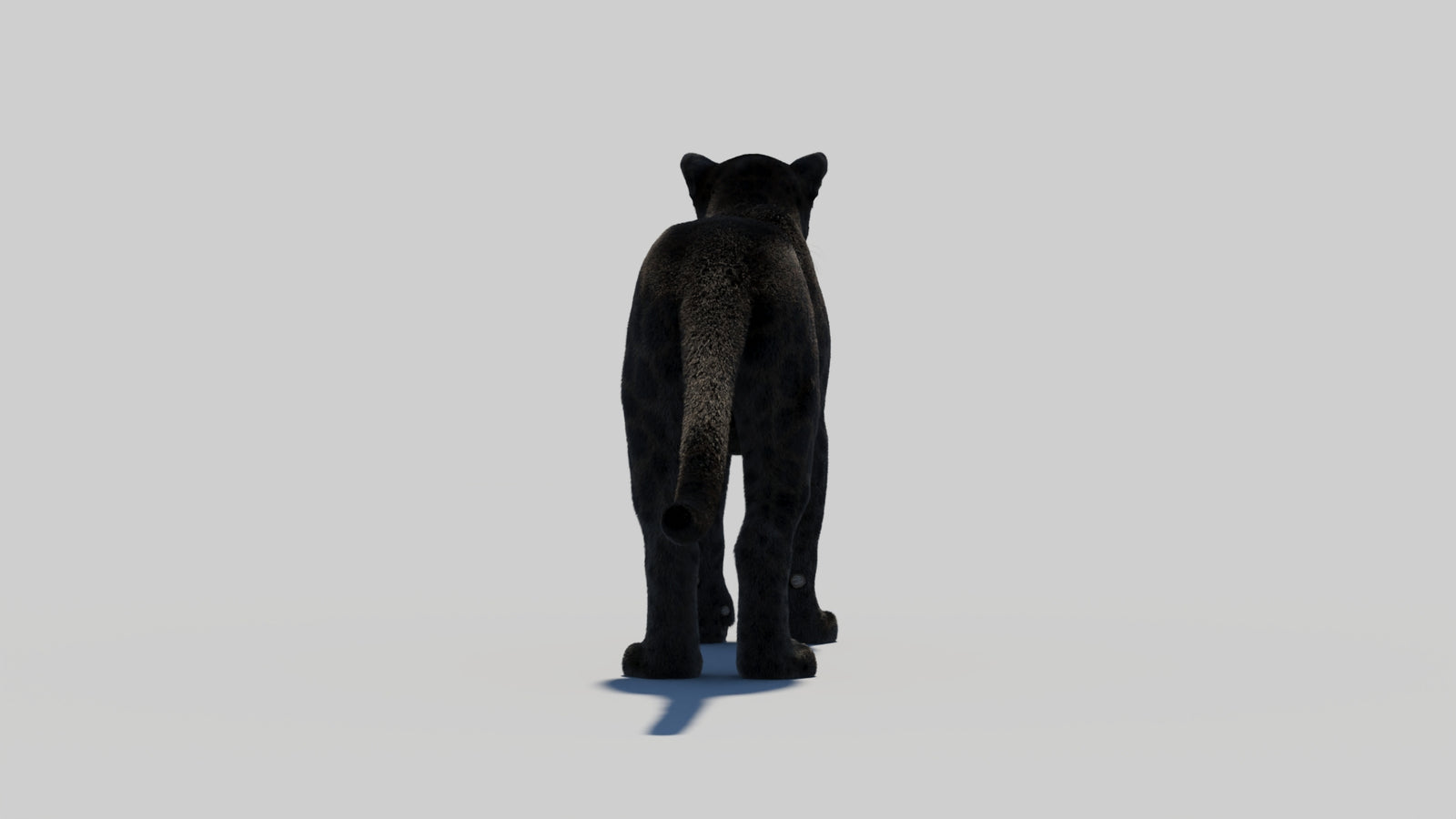 Black Panther 3D Model with Realistic Fur 360° view 2 frame 59