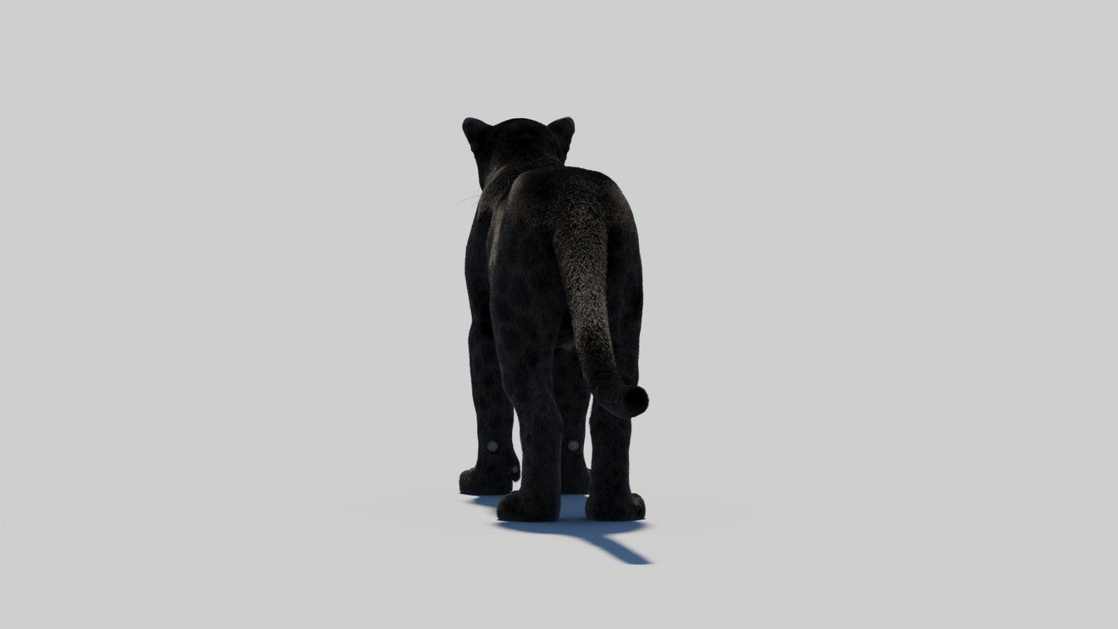 Black Panther 3D Model with Realistic Fur 360° view 2 frame 62