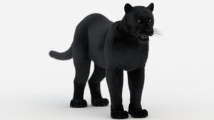 Black Panther 3D Model with Fur Thumbnail