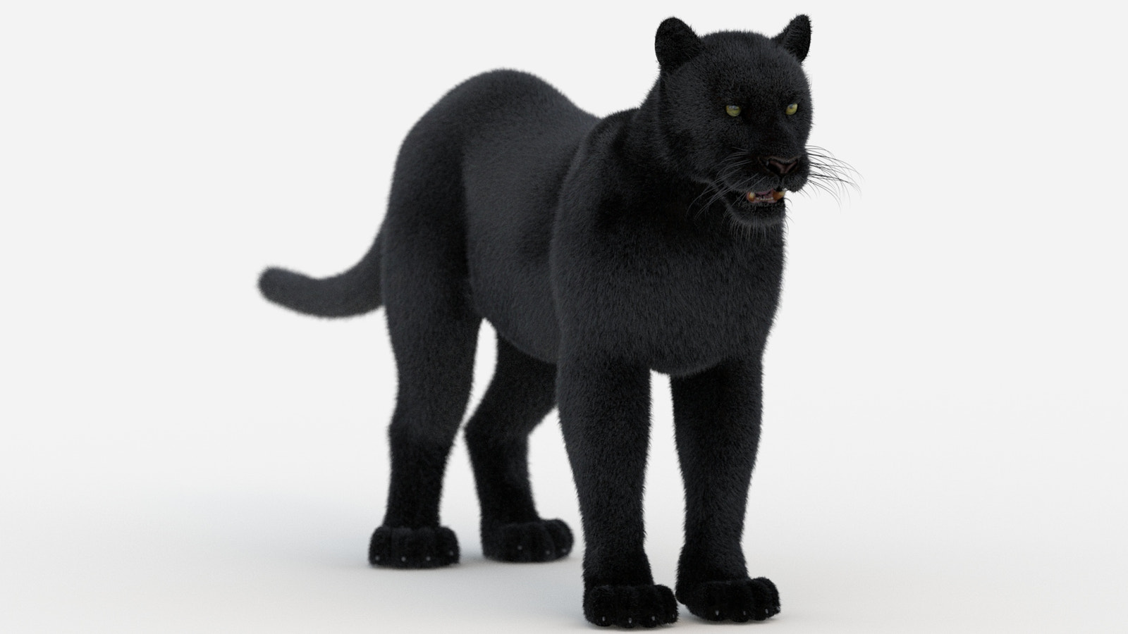 Black Panther 3D Model with Fur