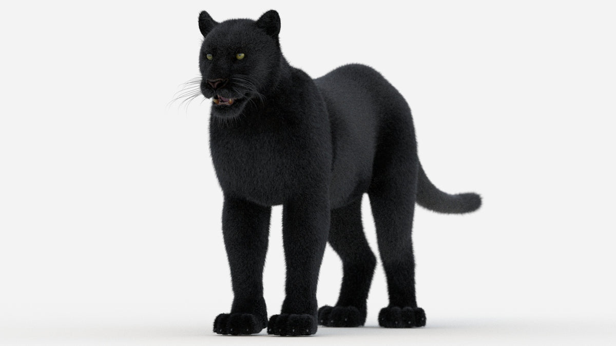 Black Panther 3D Model with Fur