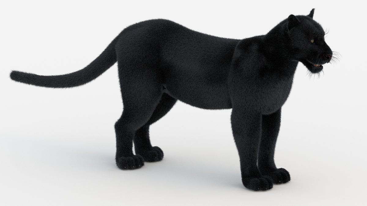 Black Panther 3D Model with Fur