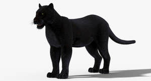 Black Panther 3D Model with Fur Thumbnail
