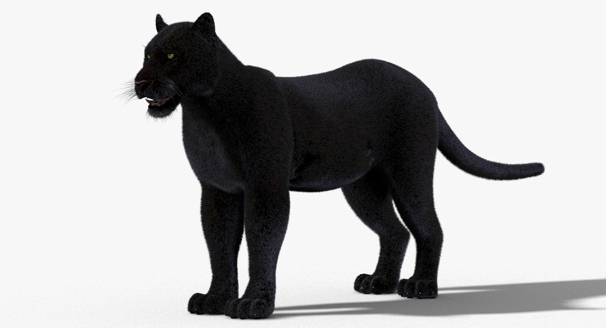 Black Panther 3D Model with Fur