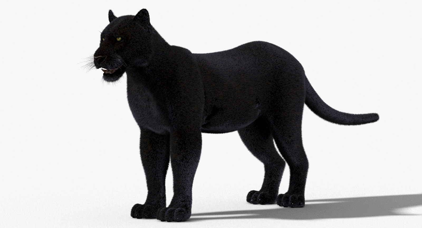 Black Panther 3D Model with Fur
