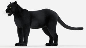 Black Panther 3D Model with Hair and Fur Thumbnail