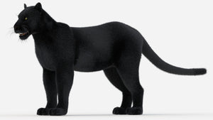Black Panther 3D Model with Hair and Fur Thumbnail