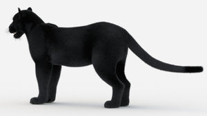Black Panther 3D Model with realistic groomed Hair and Fur Thumbnail