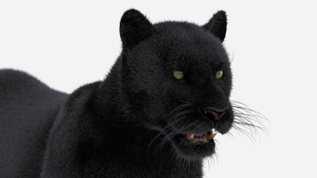 Black Panther 3D Model with Fur Close Up View
