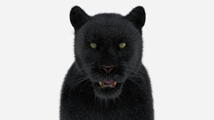 Black Panther 3D Model with Fur Thumbnail