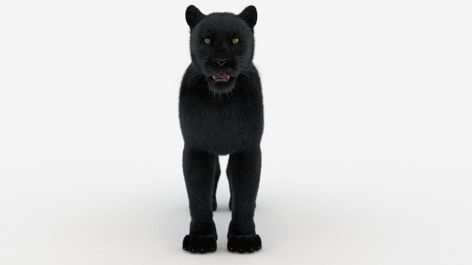 Black Panther 3D Model with Fur