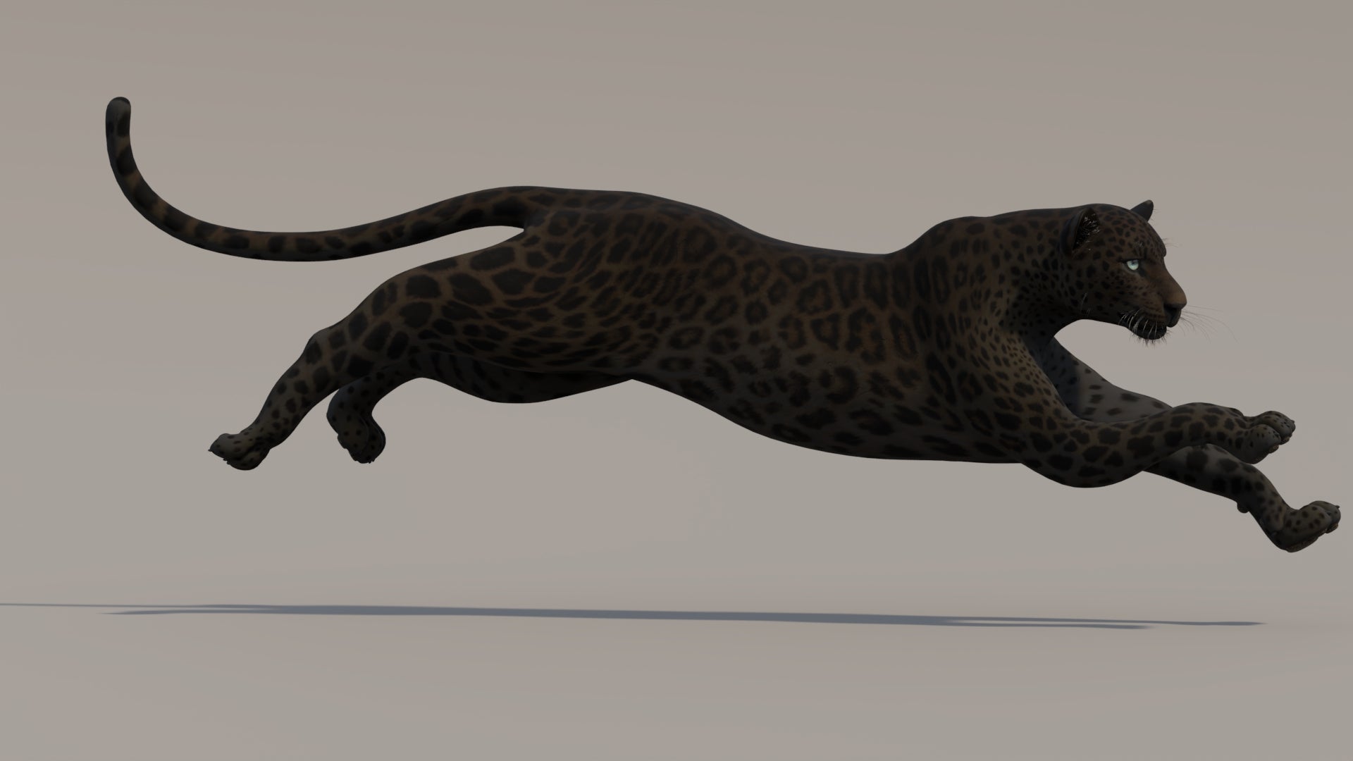 Animated Black Panther 3D Model - 360 Degree View