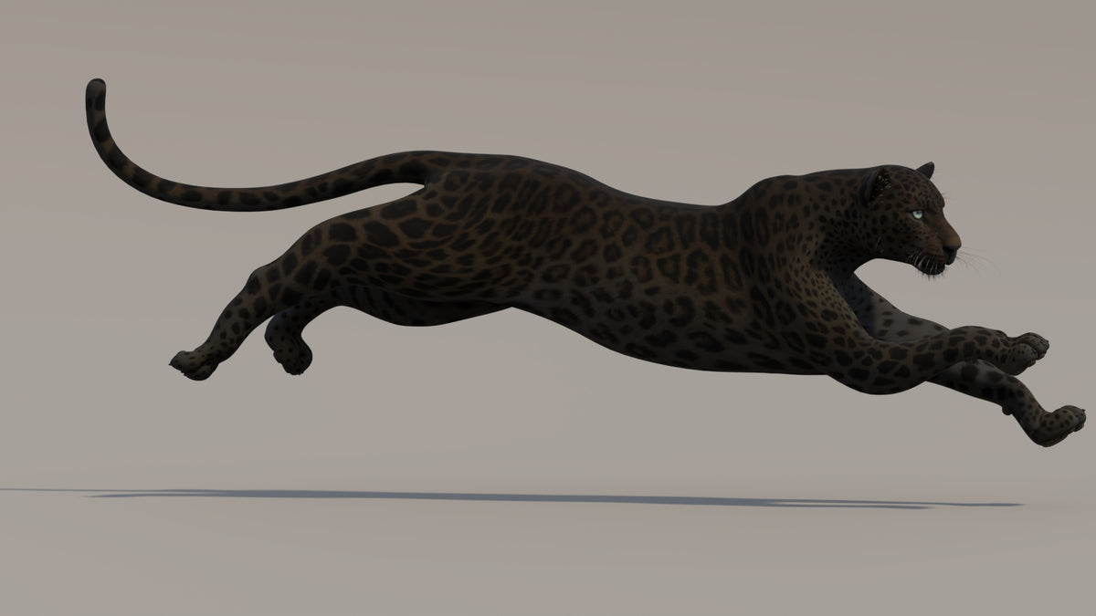 Animated Black Panther 3D Model - 360 Degree View