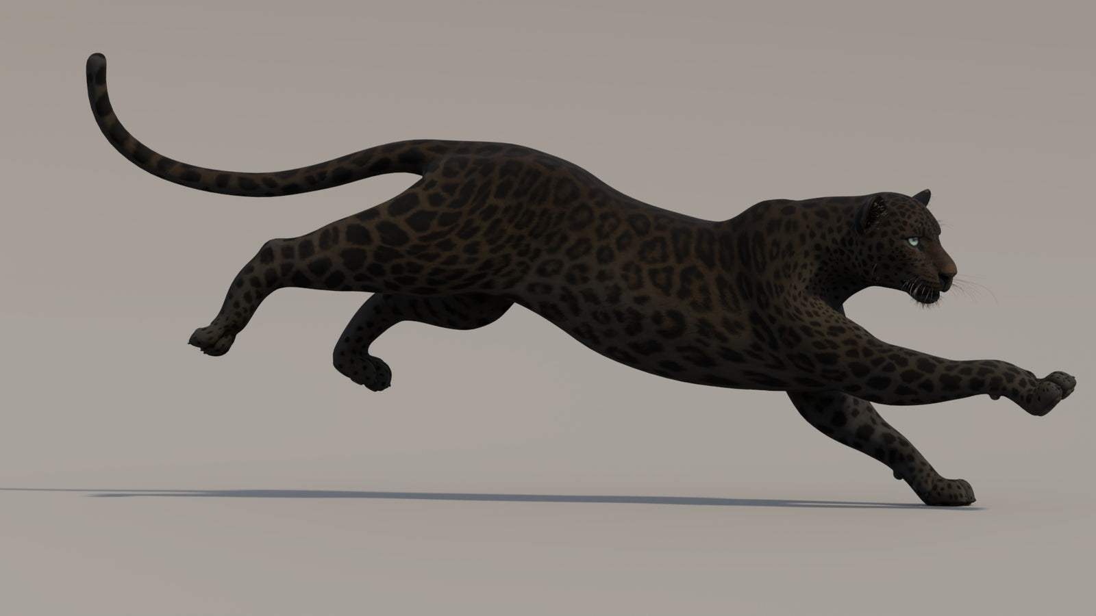 Animated Black Panther 3D Model 360° view 4 frame 2