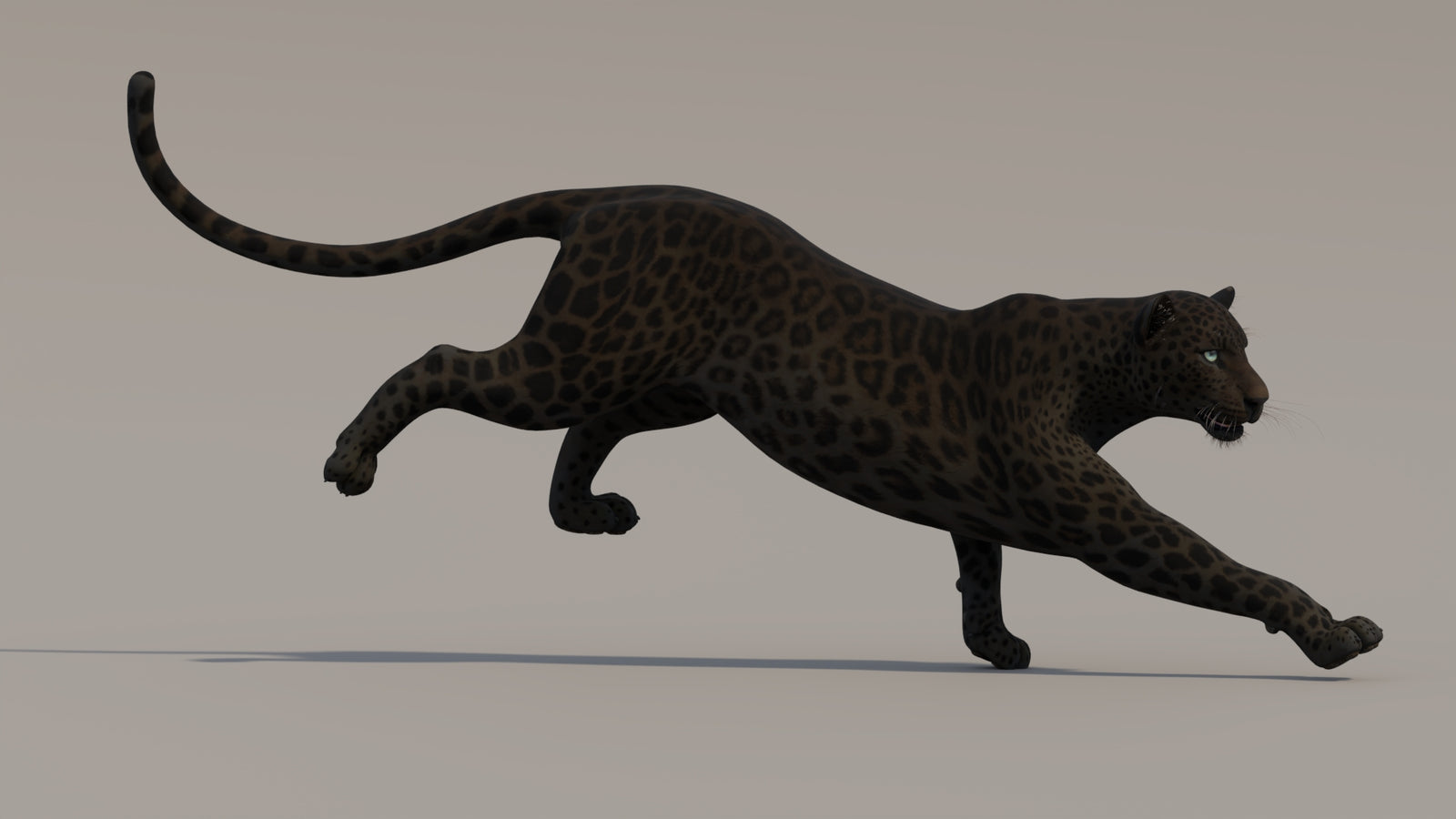 Animated Black Panther 3D Model 360° view 4 frame 3