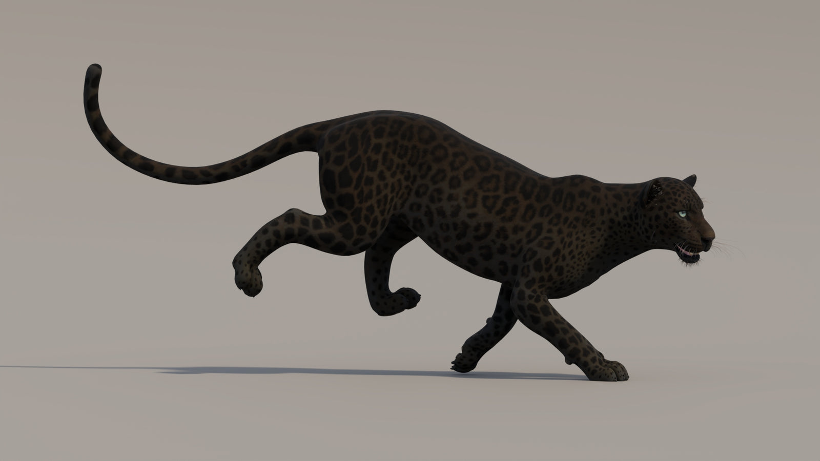 Animated Black Panther 3D Model 360° view 4 frame 4