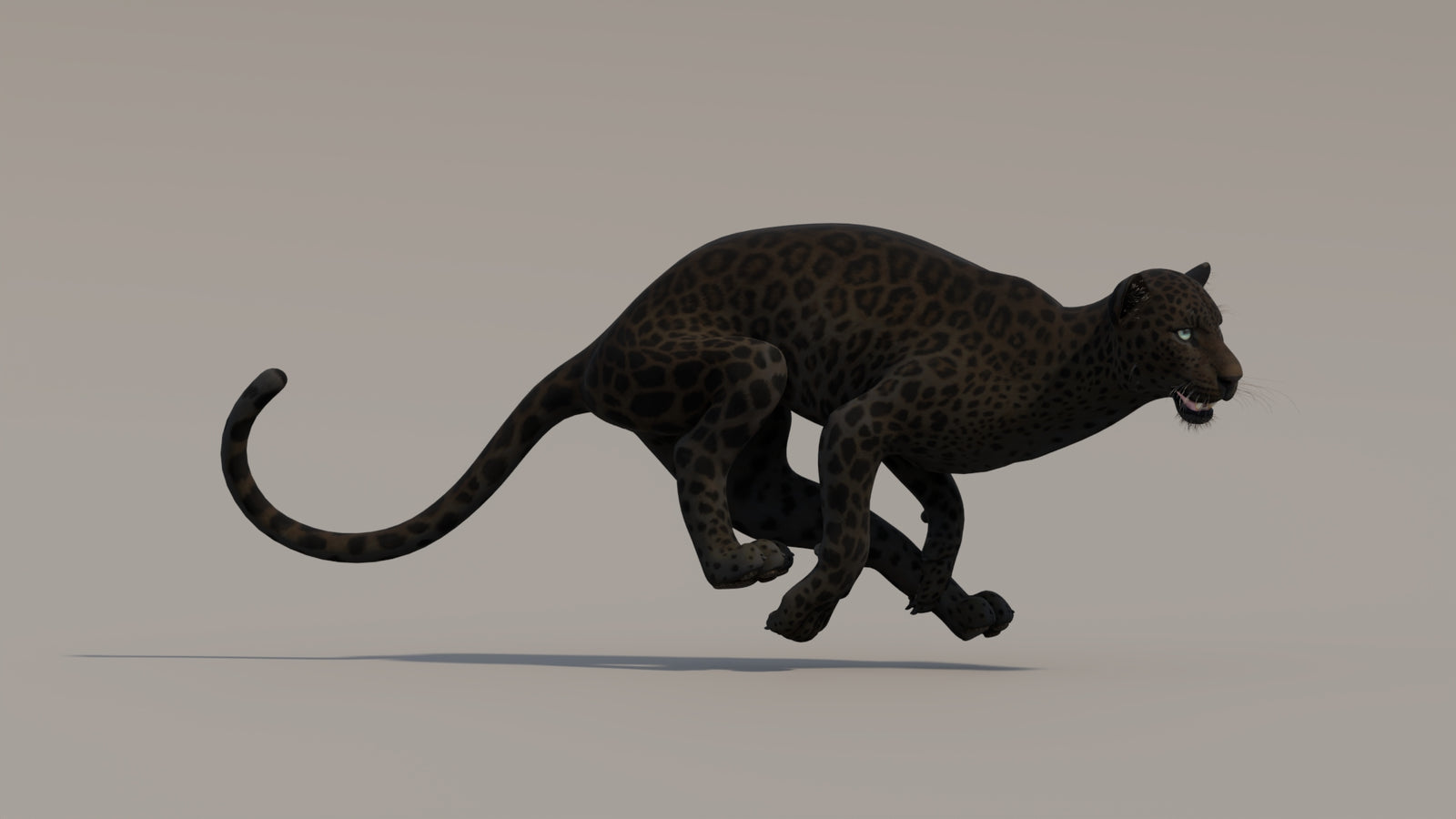 Animated Black Panther 3D Model 360° view 4 frame 7