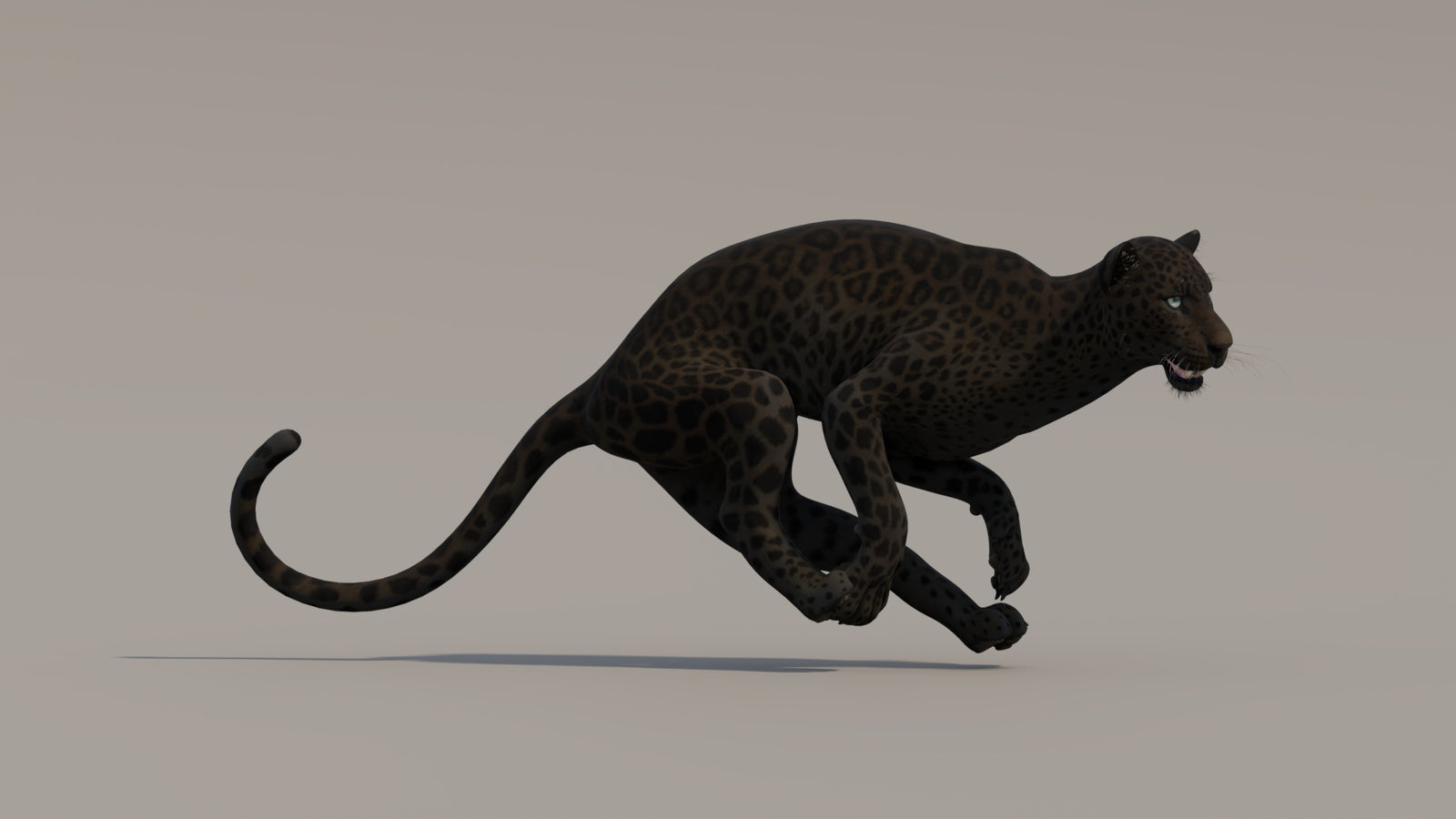Animated Black Panther 3D Model 360° view 4 frame 8
