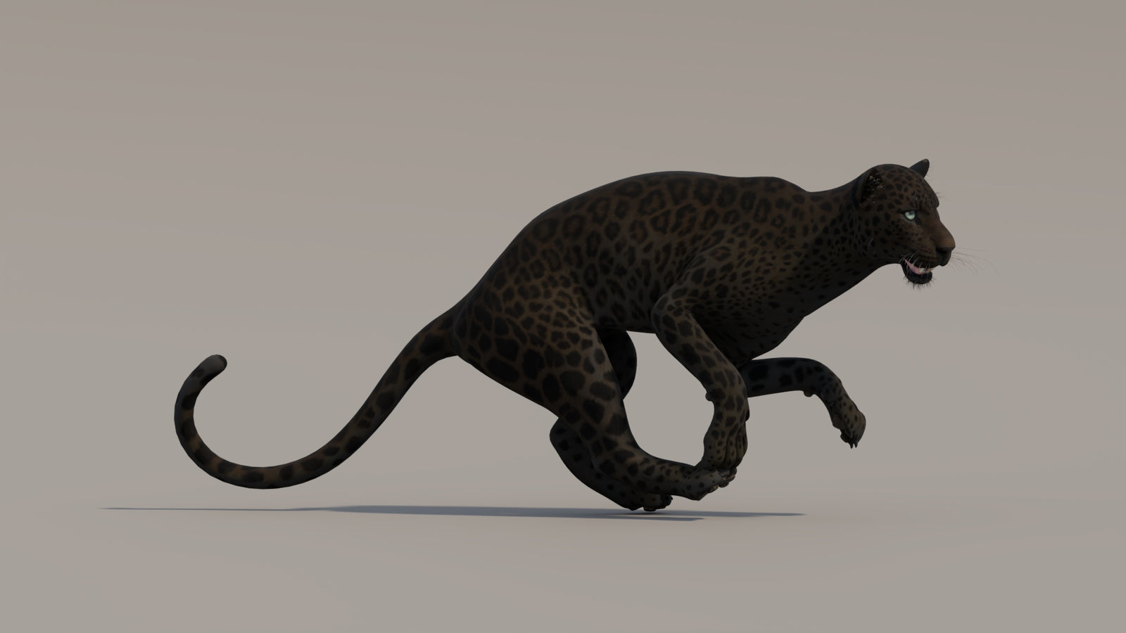 Animated Black Panther 3D Model 360° view 4 frame 9