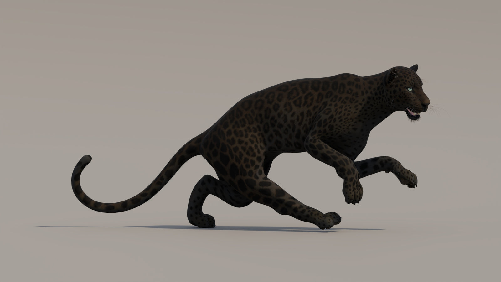 Animated Black Panther 3D Model 360° view 4 frame 10