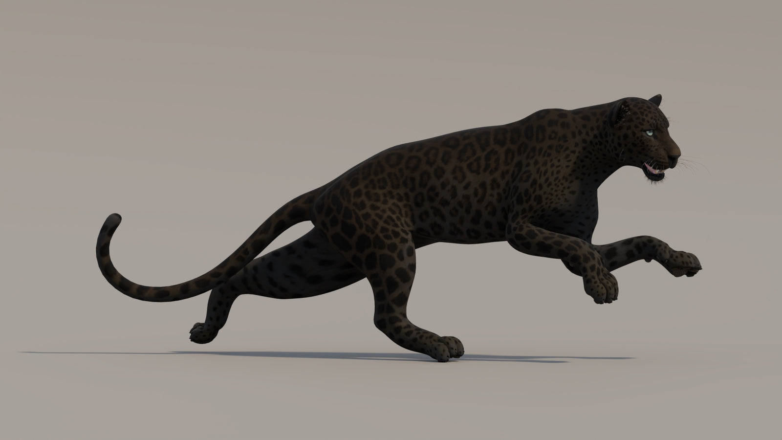 Animated Black Panther 3D Model 360° view 4 frame 11
