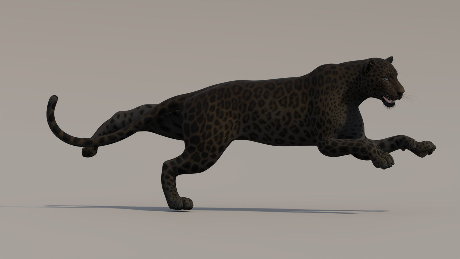 Animated Black Panther 3D Model 360° view 4 frame 12